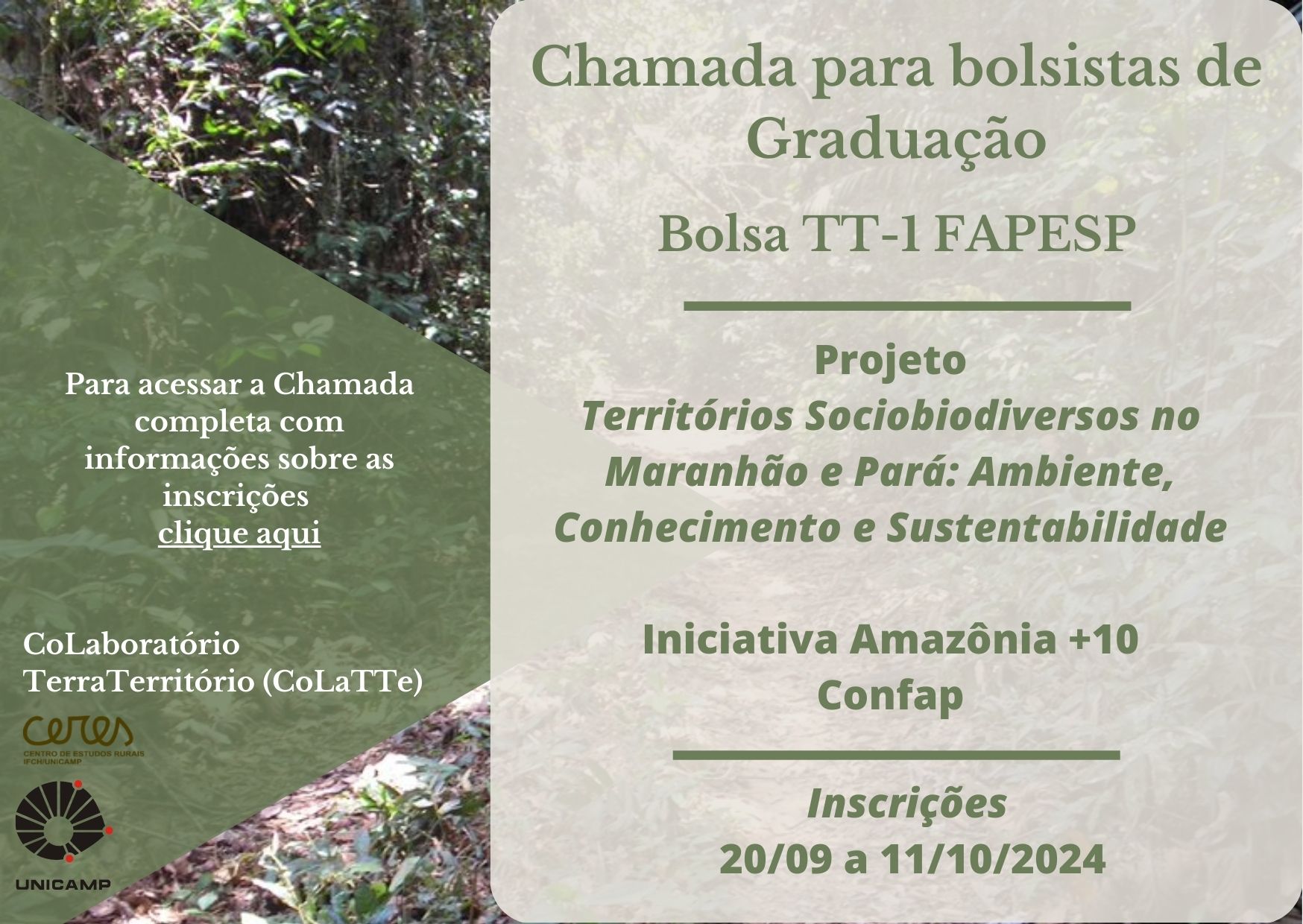 https://territoriossociobiodiversos.my.canva.site/clique-aqui